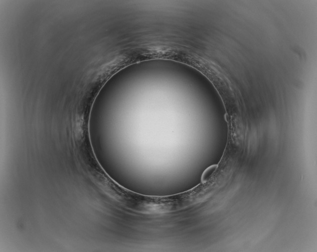 X0000113010563200908271411