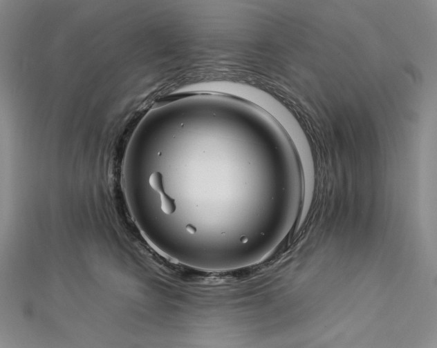 X0000113010566200908271411