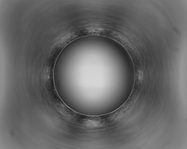 X0000113010567200908271411