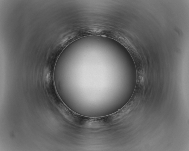 X0000113010568200908271411