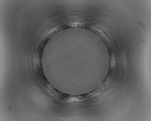 X0000113010569200908271411