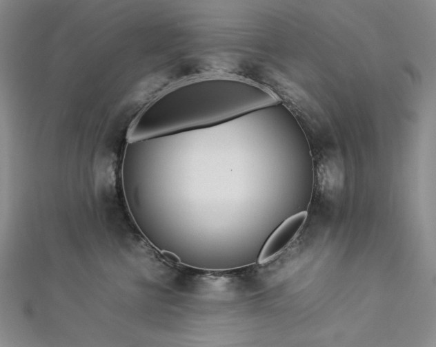 X0000113010570200908271411