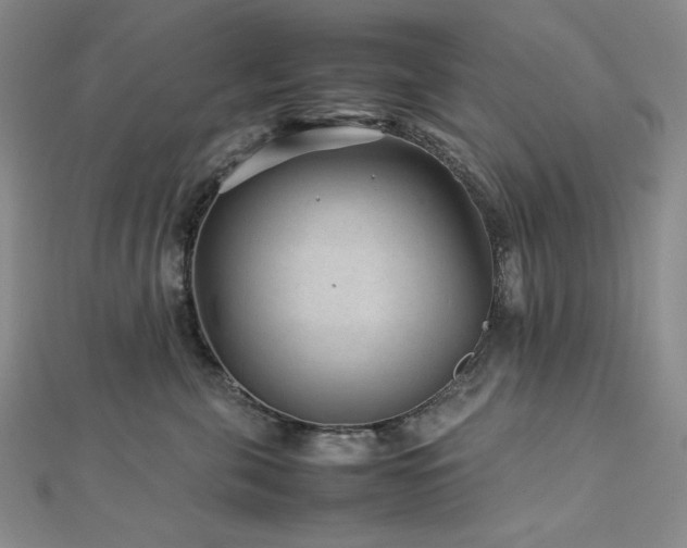 X0000113010571200908271411