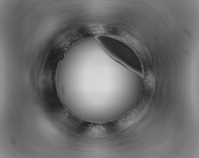 X0000113010572200908271411