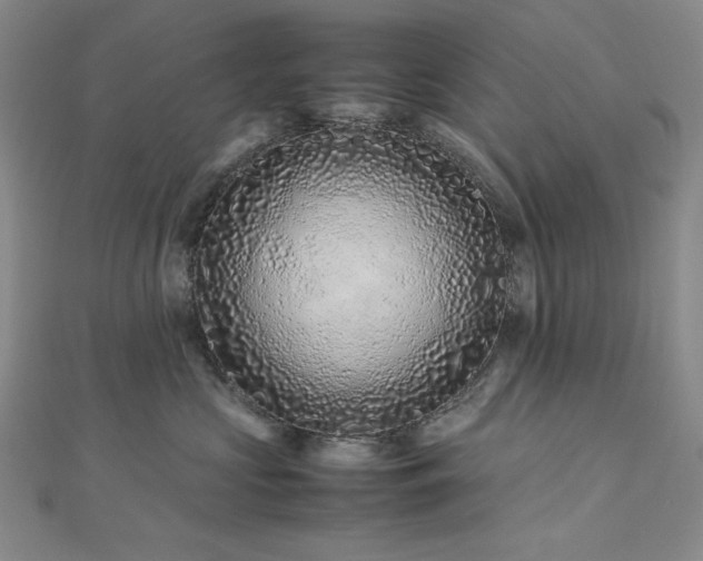 X0000113010573200908271411