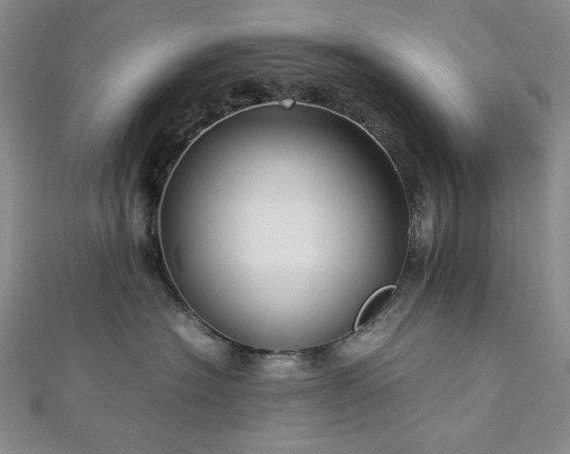 X0000113010574200908271411