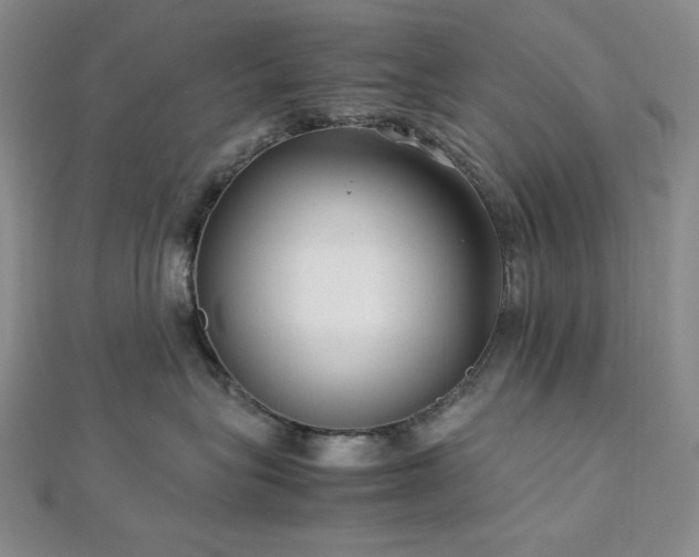 X0000113010575200908271411