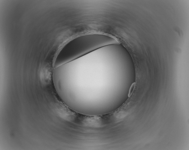 X0000113010576200908271411