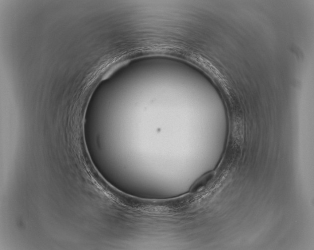 X0000113010577200908271411