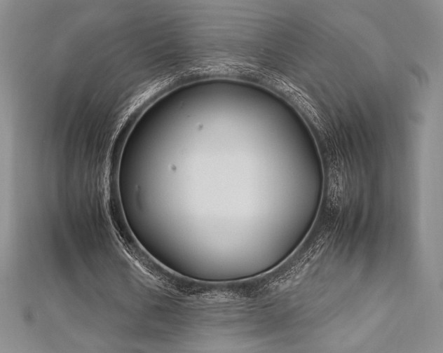 X0000113010578200908271411