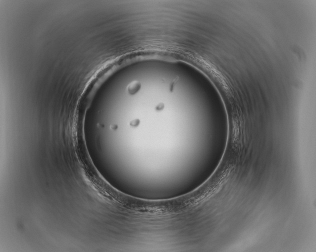 X0000113010580200908271411