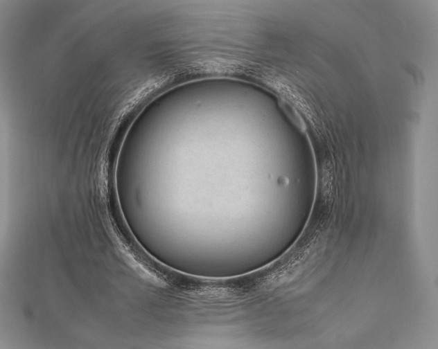 X0000113010581200908271411