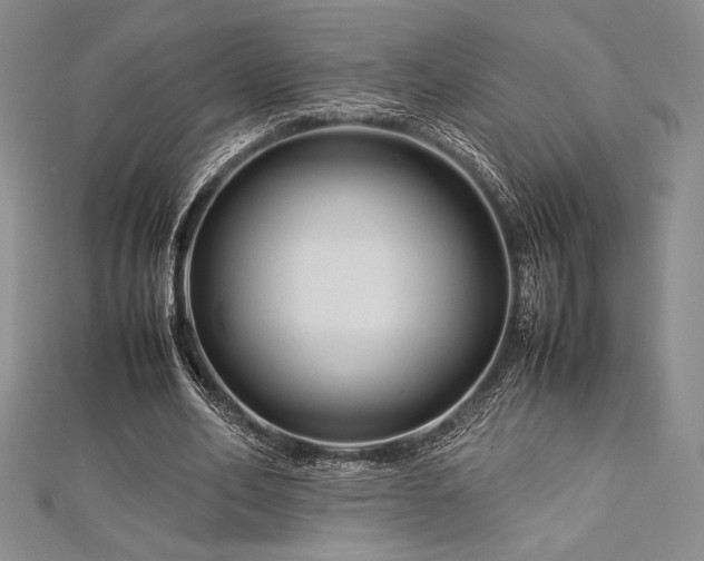 X0000113010582200908271411