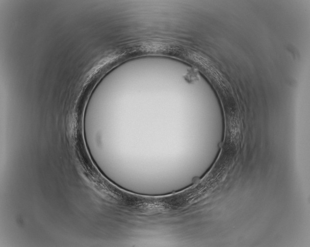 X0000113010583200908271411