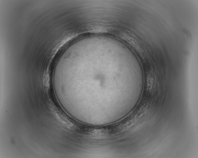 X0000113010584200908271411