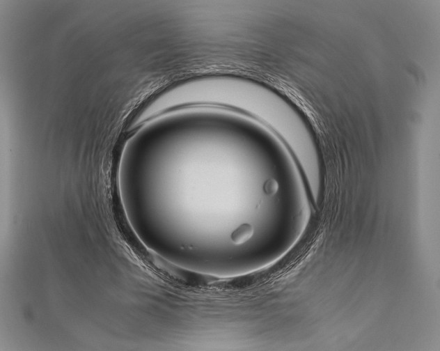 X0000113010585200908271411