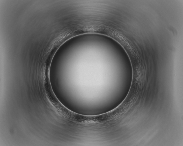 X0000113010586200908271411