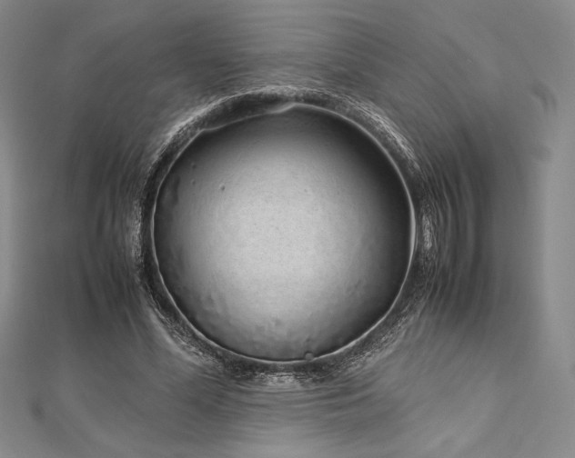 X0000113010588200908271411