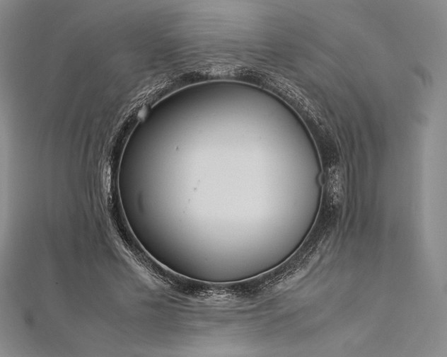 X0000113010589200908271411