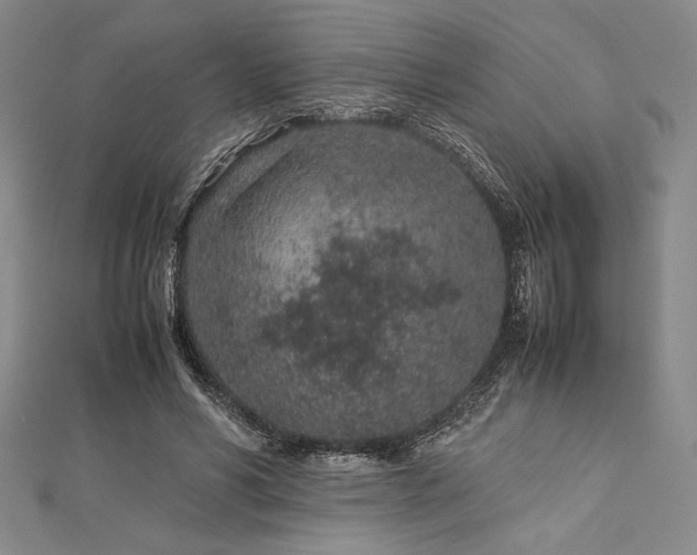 X0000113010590200908271411