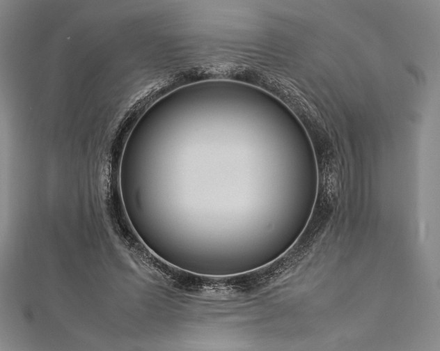 X0000113010591200908271411