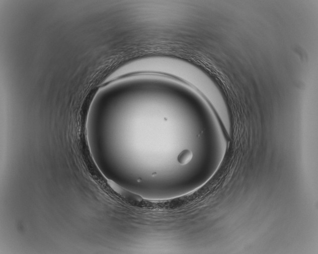 X0000113010593200908271411