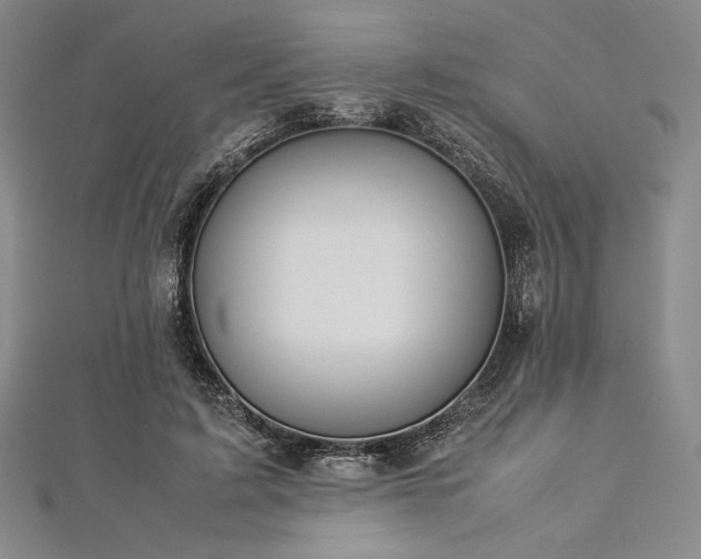 X0000113010595200908271411