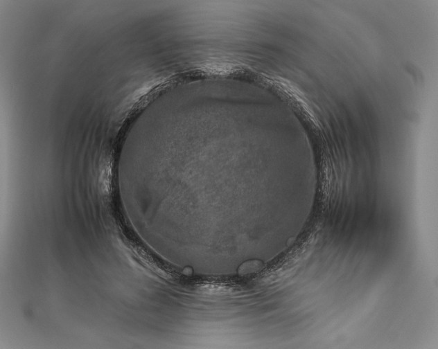 X0000113010596200908271410