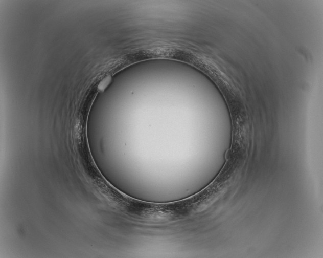 X0000113010597200908271410