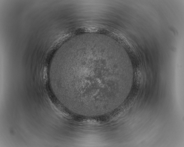 X0000113010598200908271410