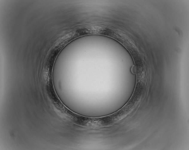 X0000113010599200908271410