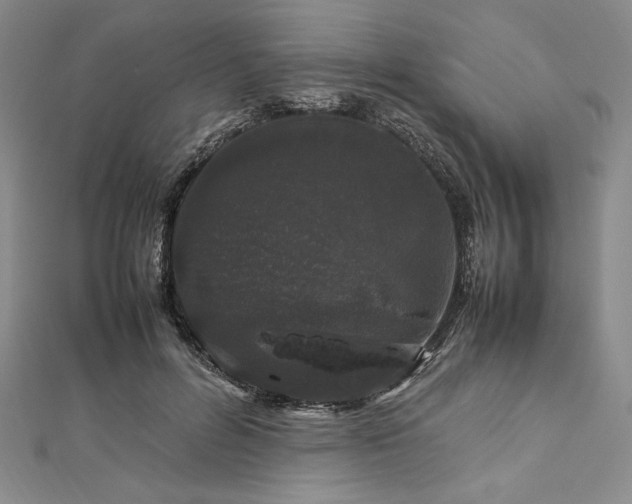 X0000113010600200908271410