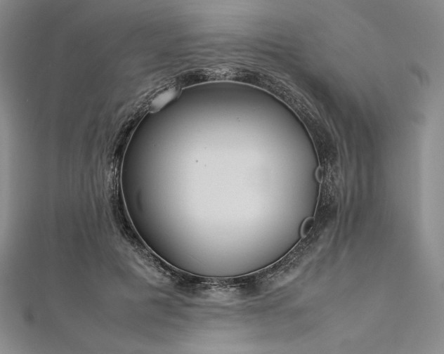 X0000113010601200908271410