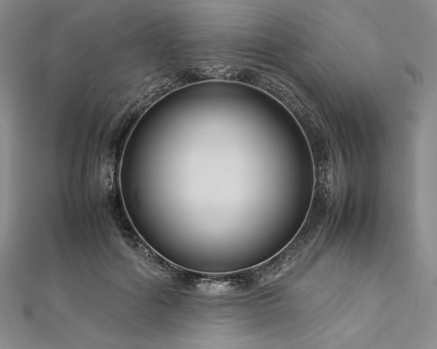 X0000113010602200908271410