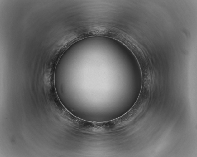 X0000113010604200908271410