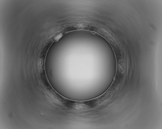 X0000113010605200908271410