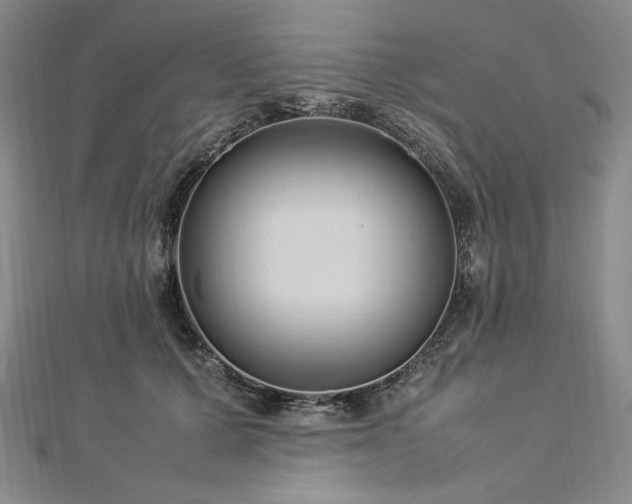 X0000113010607200908271410