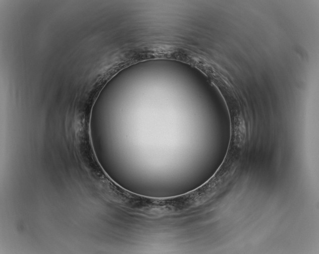 X0000113010608200908271410