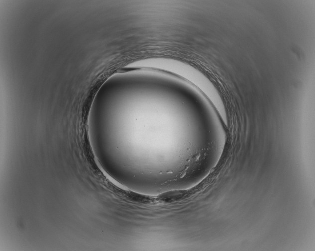 X0000113010609200908271410