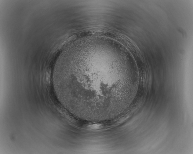 X0000113010610200908271410