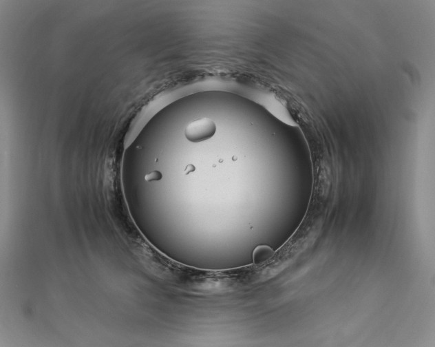 X0000113010612200908271410