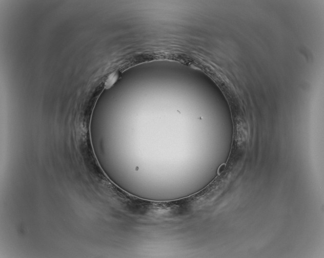 X0000113010613200908271410