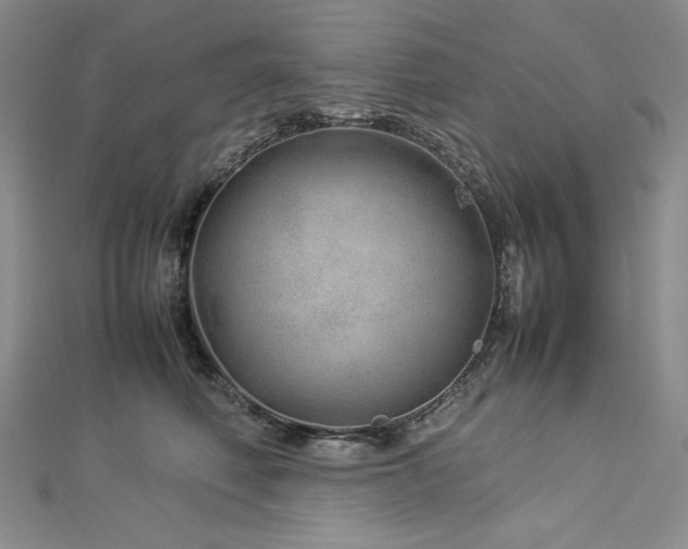 X0000113010614200908271410