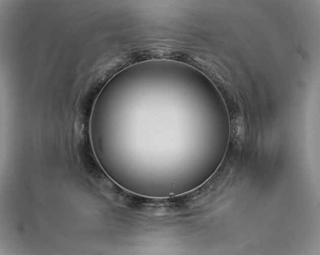 X0000113010615200908271410