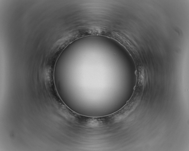 X0000113010616200908271410