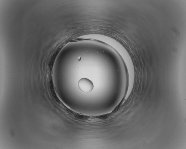 X0000113010617200908271410