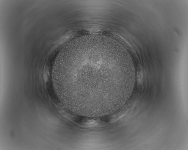 X0000113010618200908271410