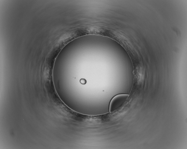 X0000113010619200908271410