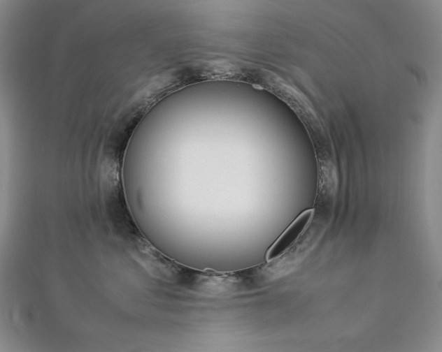 X0000113010621200908271410