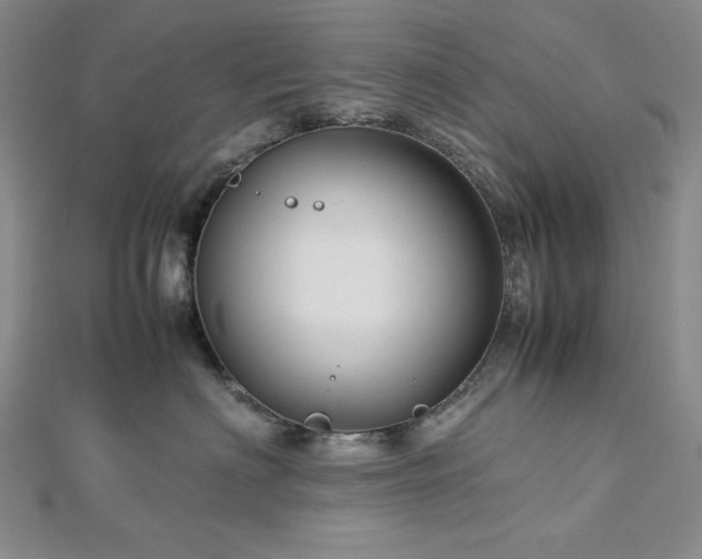 X0000113010622200908271410